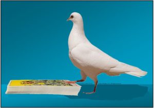 Tarot TLC with Linda Marie, Psychic Medium. Sign Up For A FREE 30 Minute Reading.